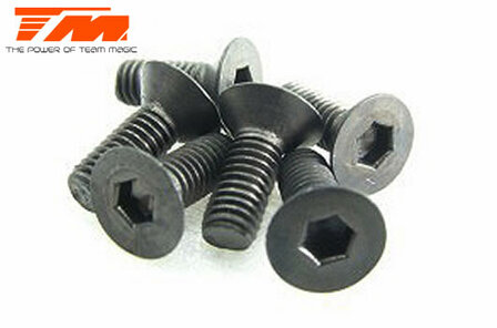 126308 Screws - Flat Head - Hex (Allen) - M3 x 8mm 6 pcs